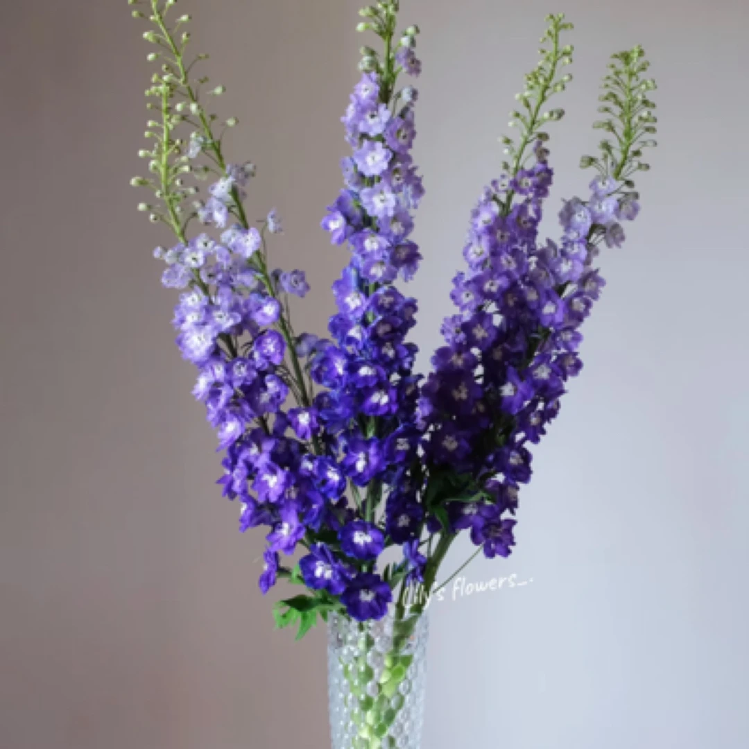 【紫白心 大飞燕】2单冷链/3单空运/偏远补运费