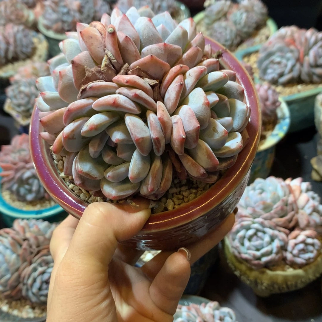 哈哈哈哈哈哈哈哈哈哈