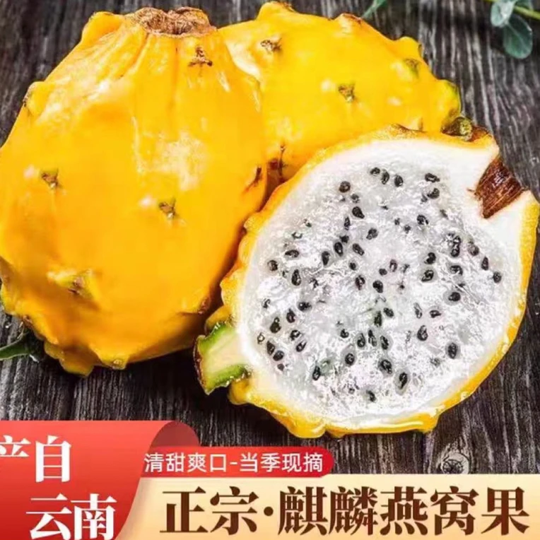 【小麦甄选】云南高山高露天种植新鲜采摘罕见水果燕窝果低脂水果