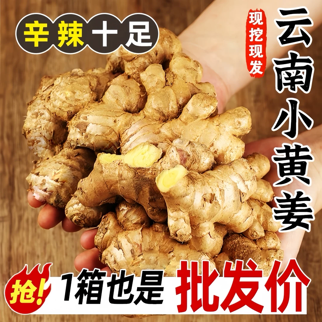 【老姜】正宗云南小黄姜1~9斤辛辣够味现挖生姜产地直销新鲜姜HGC