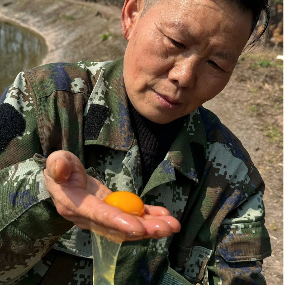 【勿拍勿拍】正宗纯粮散养土鸡蛋现捡现发