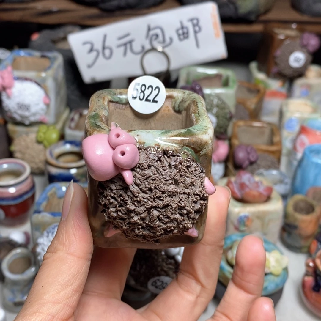 拍3送一个小礼物