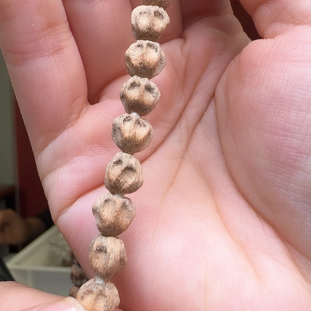 柏香籽/百香籽吊坠?**多