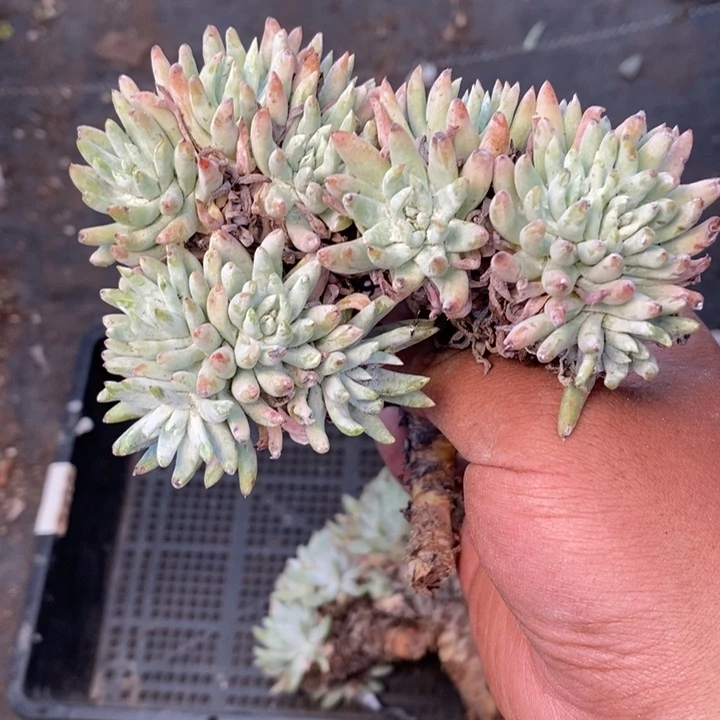 4569哈哈哈哈哈哈哈哈哈哈