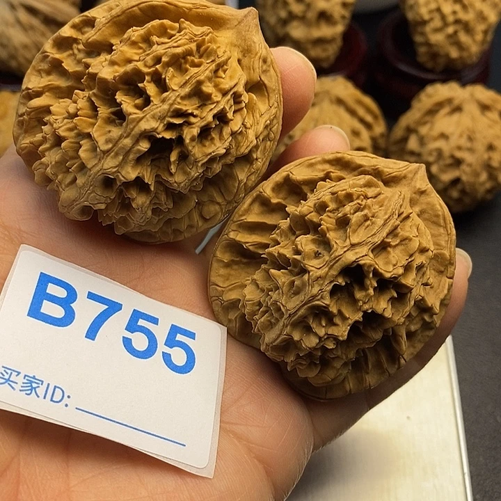 核桃中国大花4.5，克重53