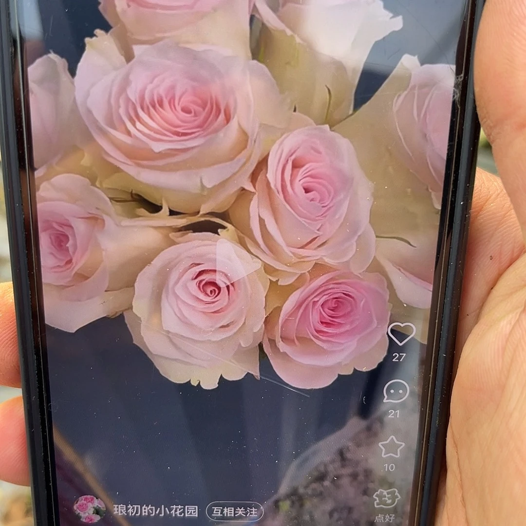 无花朵———-女孩 福利