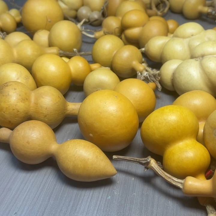 小***儿健健康康快快乐乐