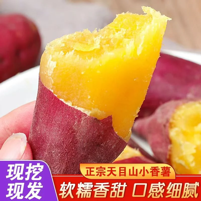 天目山临安小香薯蜜薯5斤板栗红薯新鲜农家自种小番薯地瓜山芋