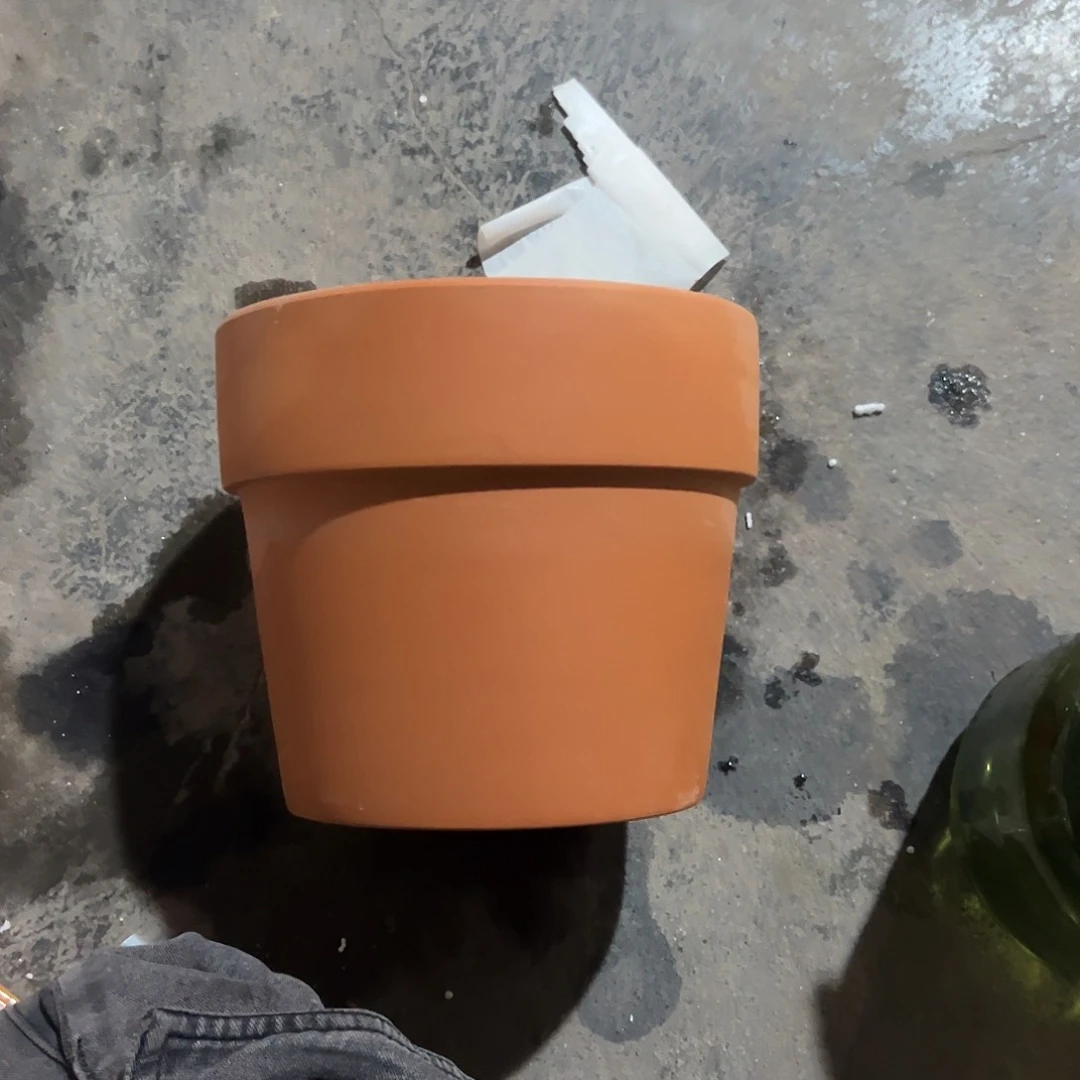 帝罗马23口20高1个