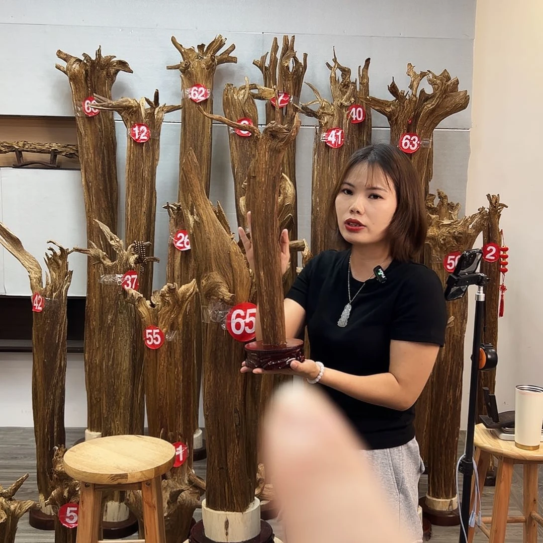 摆件沉香沉香摆件