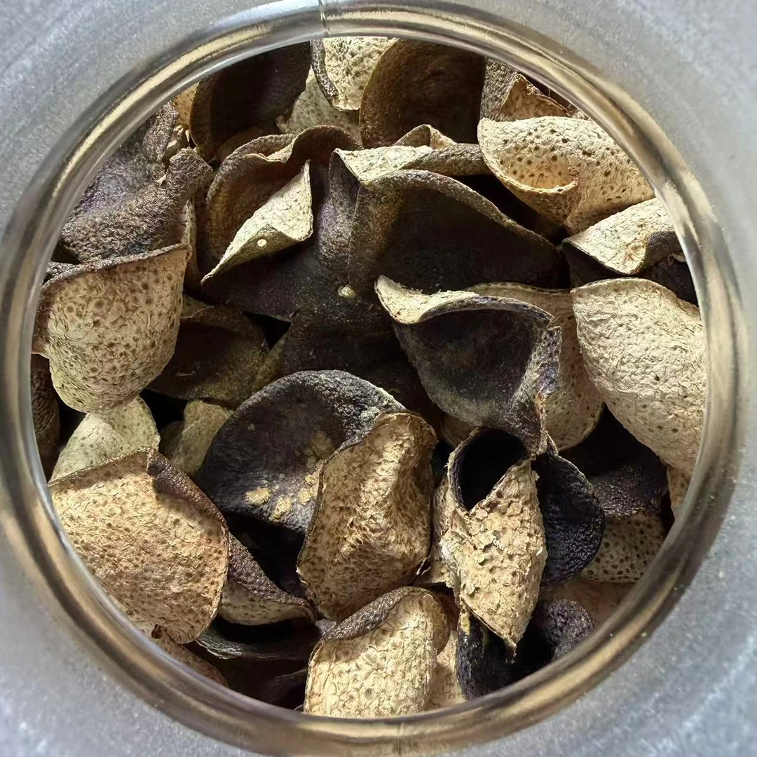 【小鑫推荐】代用茶·新会天马花青陈皮