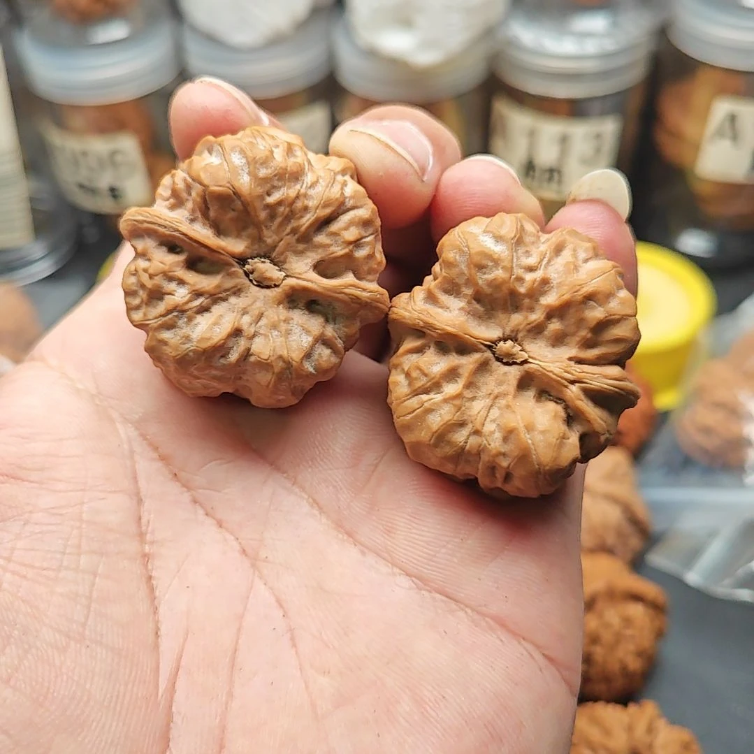 M***g文玩核桃把件蛤蟆头