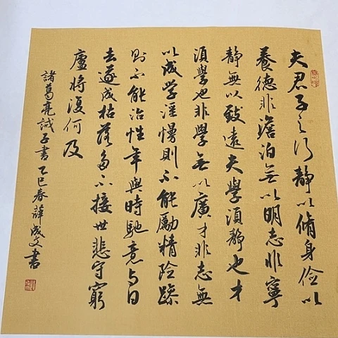 诫子书斗方行书作品60*60