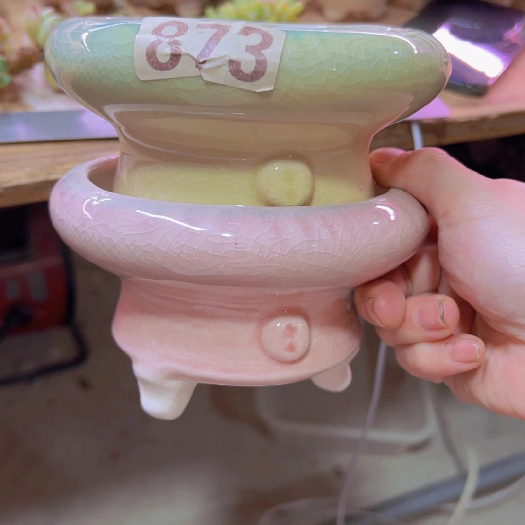 陶瓷花盆当场凑满12包邮