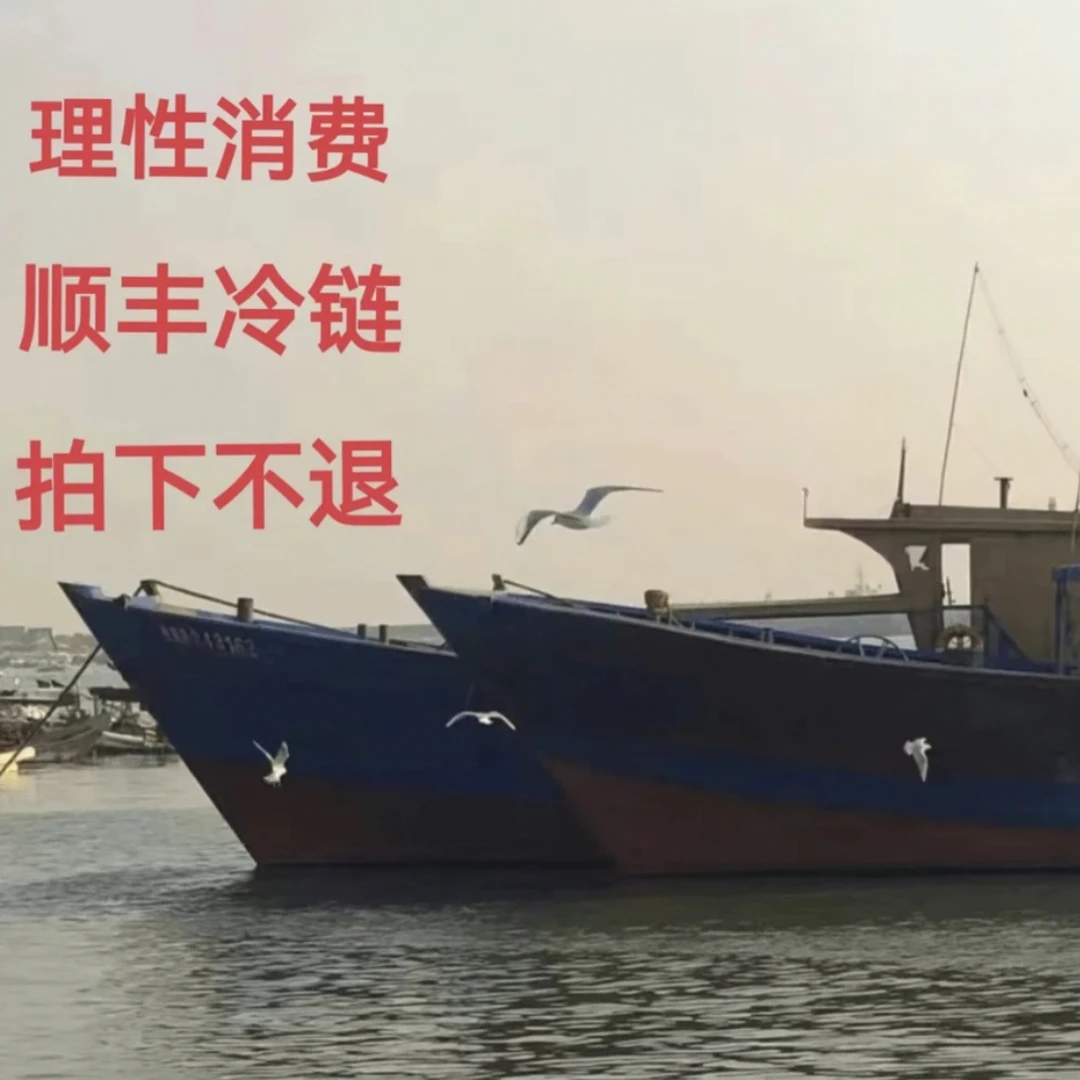神泉港 直播间杂鱼套餐(拼单专用链接)5-10斤顺丰包邮