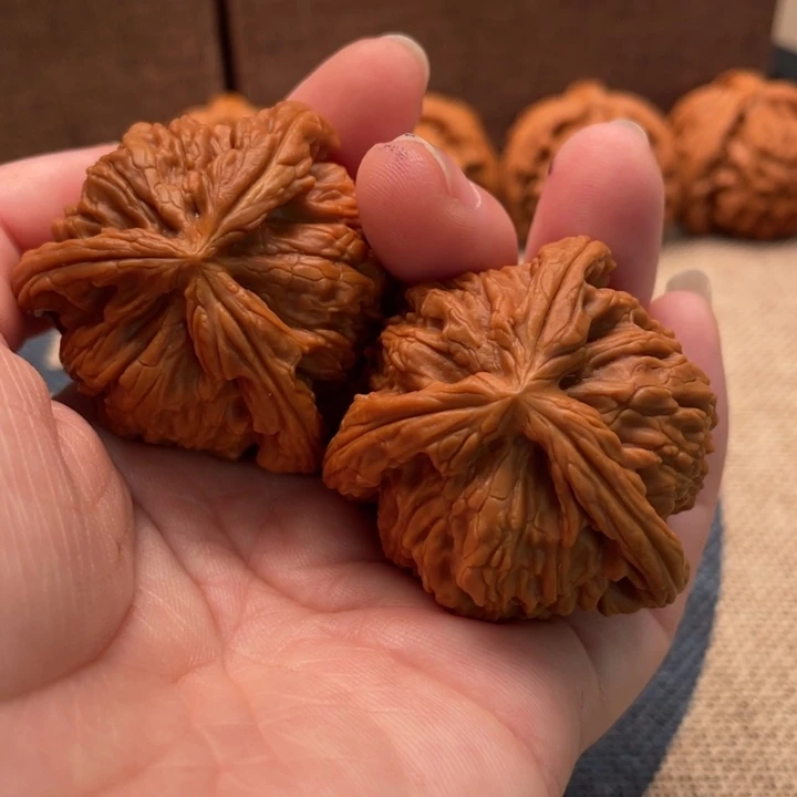 H***y核桃白狮子核桃41