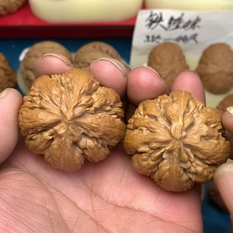 文玩核桃把件41尺闷球霸王龙