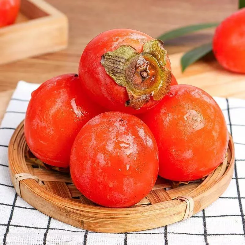 H新鲜采摘产地直发火晶柿子单果40g起30枚整箱发货