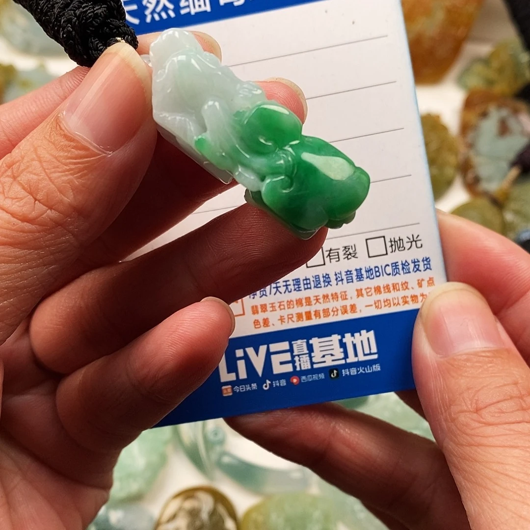 翡翠未镶嵌颈饰貔貅