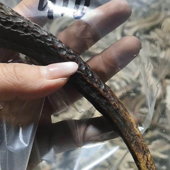 平***生非金属无鹿角鹿角鹿角