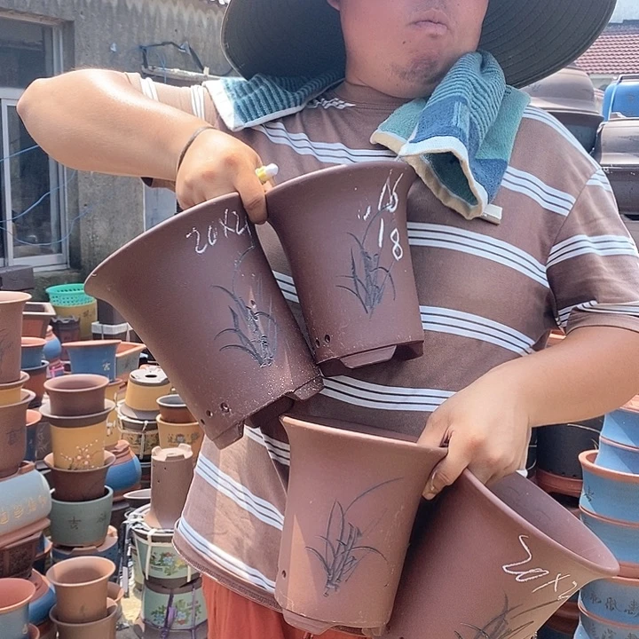 紫砂花盆盆栽植物种植