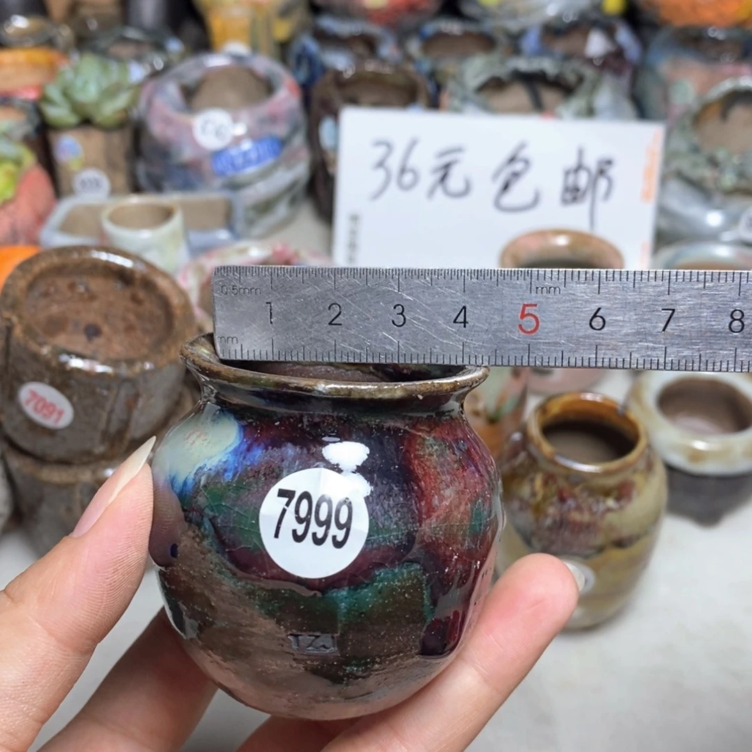 拍5送一个小礼物