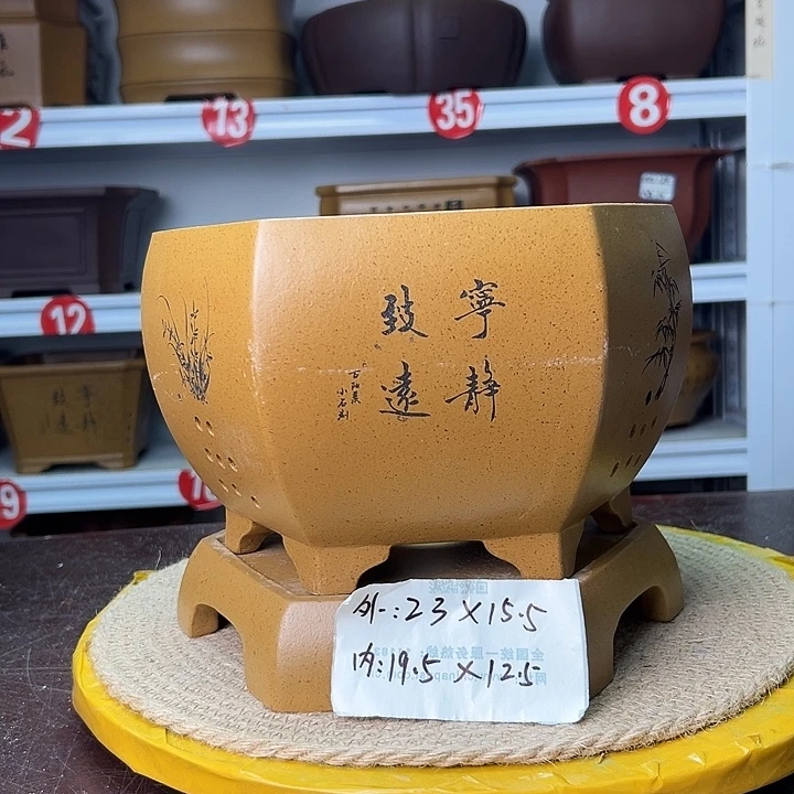 紫砂花盆蛇年大吉