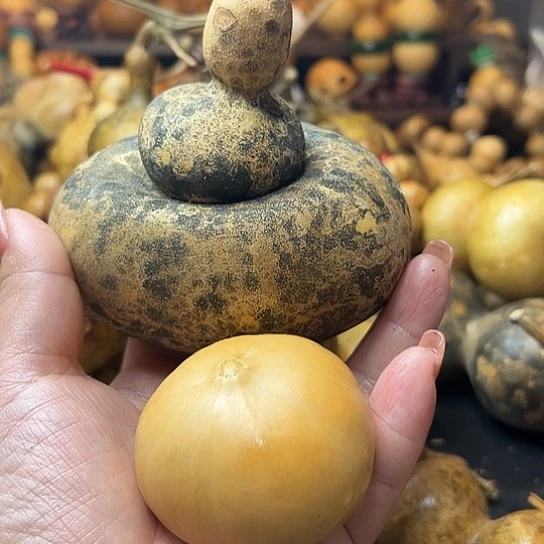 豆****呼葫芦葫芦葫芦葫芦