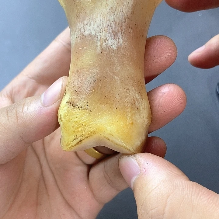大果紫檀（缅甸花梨）776
