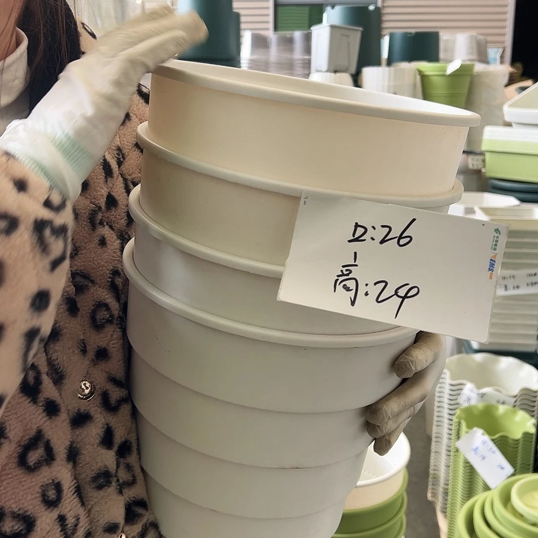 多孔盆4#白色4个无托