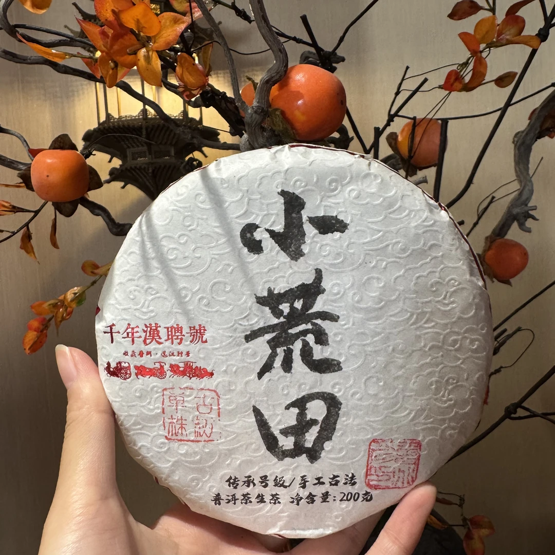【言老师专属】2021年 小荒田单株古树茶 普洱生茶200g