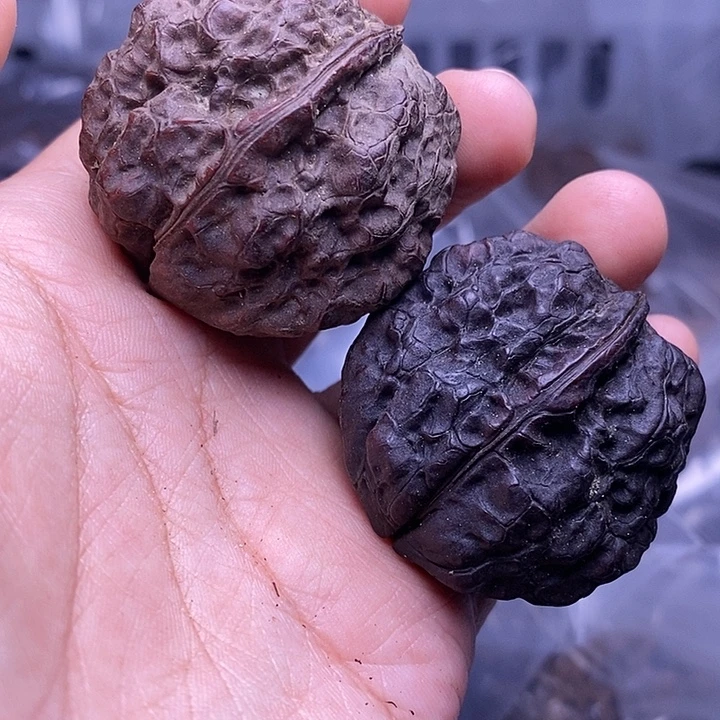 文玩核桃把件   152