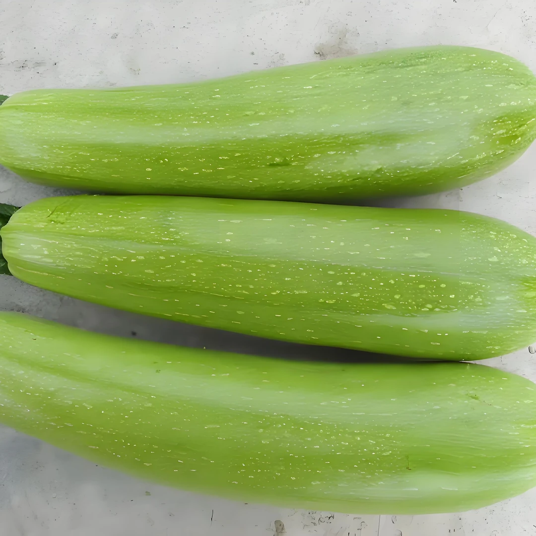 高原夏菜蔬菜套餐5斤装西葫芦西红柿陇椒土豆长茄各一斤