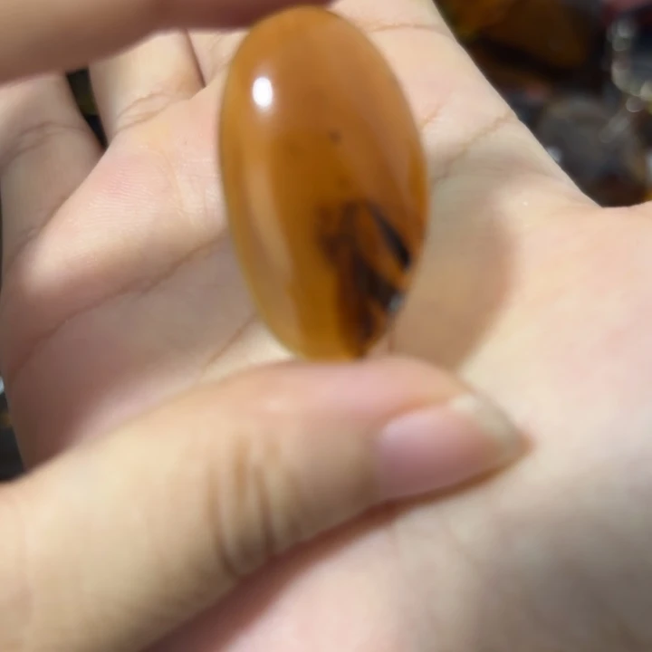 琥珀未镶嵌裸石虫珀