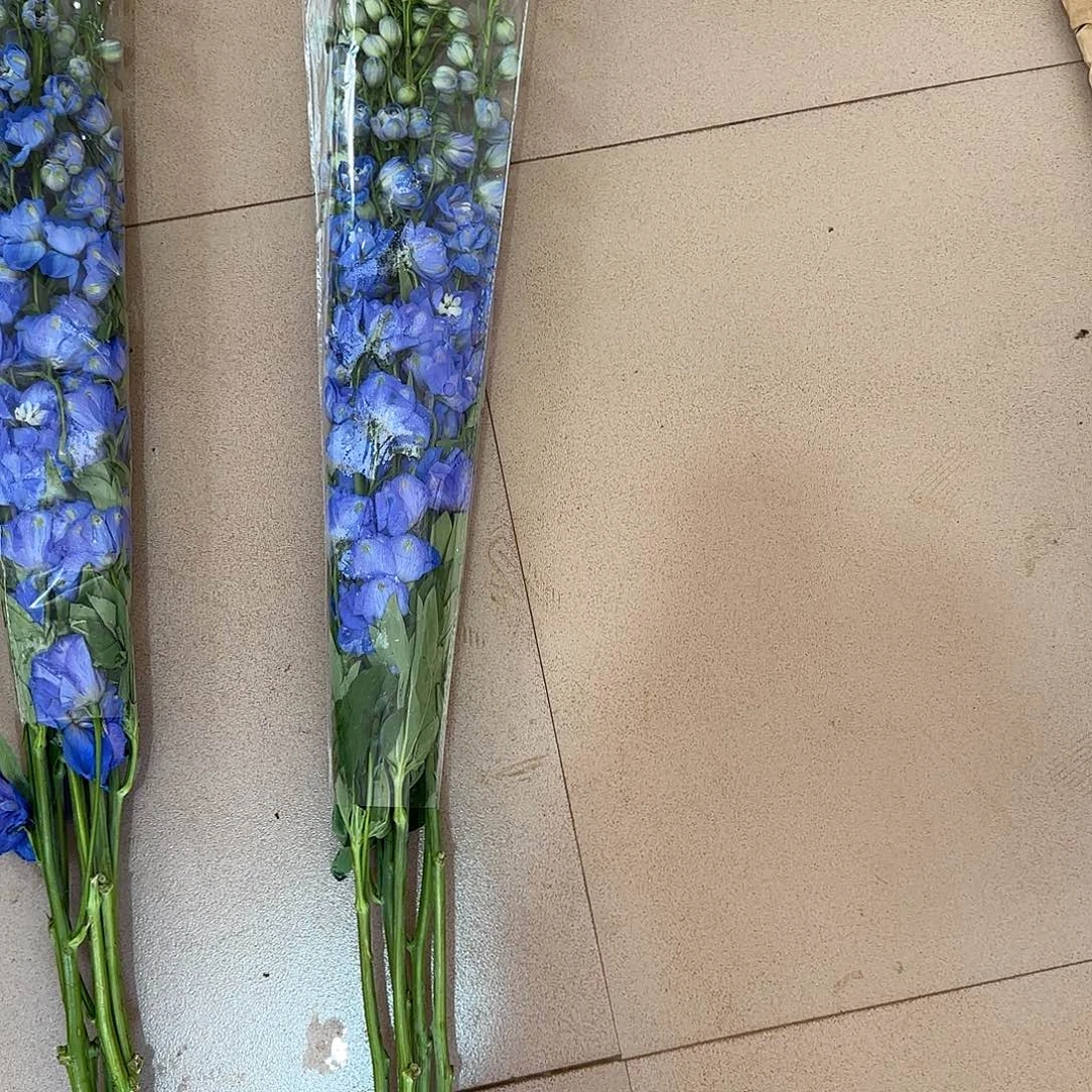深蓝色80公分（1冷2空）