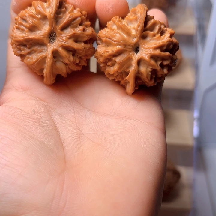 全品苹果园尺寸43+