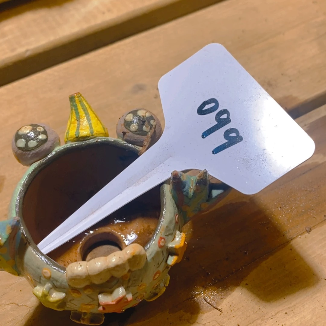 你****～099号，福利多多