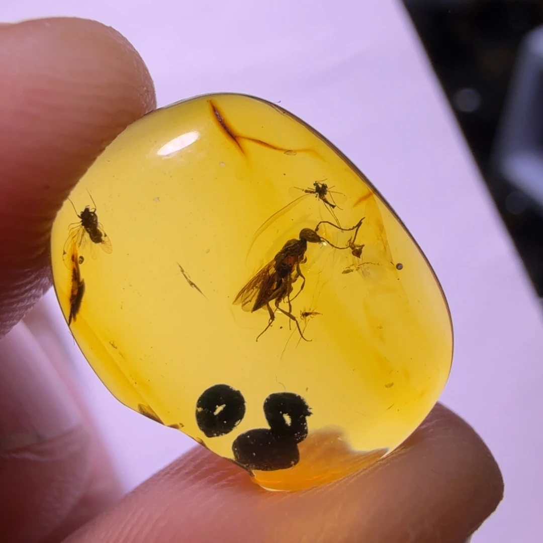 琥珀未镶嵌裸石1号