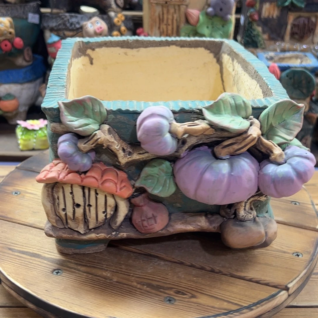 红陶嘻哈多肉花盆