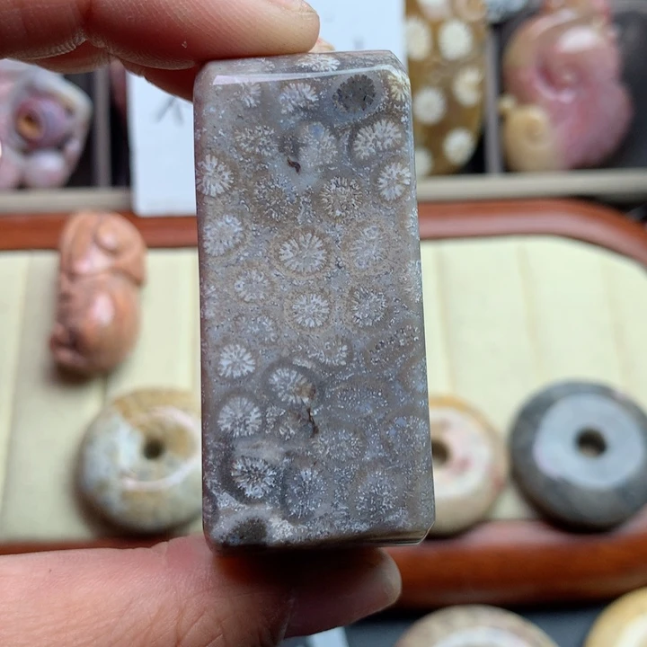 硅化珊瑚（珊瑚玉）颈饰未镶嵌