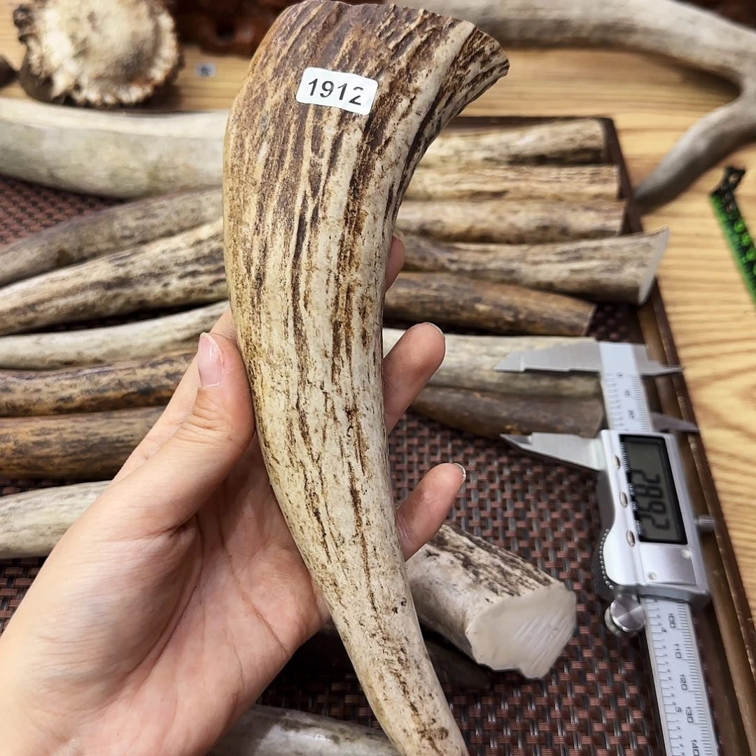 手串/手链鹿骨1912角尖