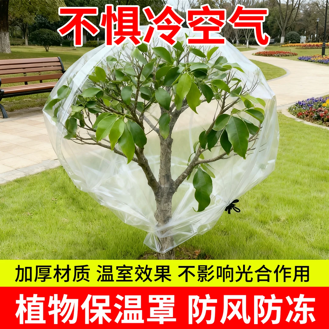 植物防寒罩透明果树过冬防冻防雨树木保护罩防尘袋花卉盆栽保温罩