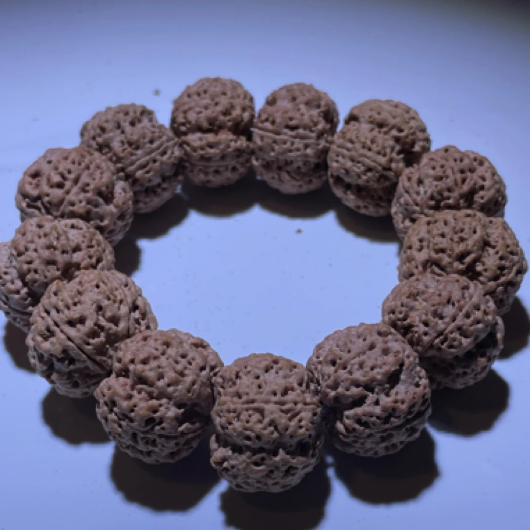 梁产区头货五爪金龙凹底梅花