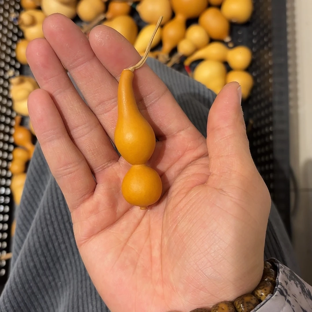 花**宸葫芦1111111111111