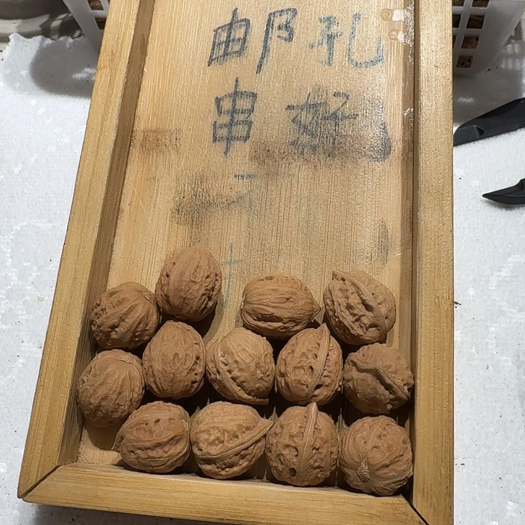 核桃手串/手链52号边19肚20高20