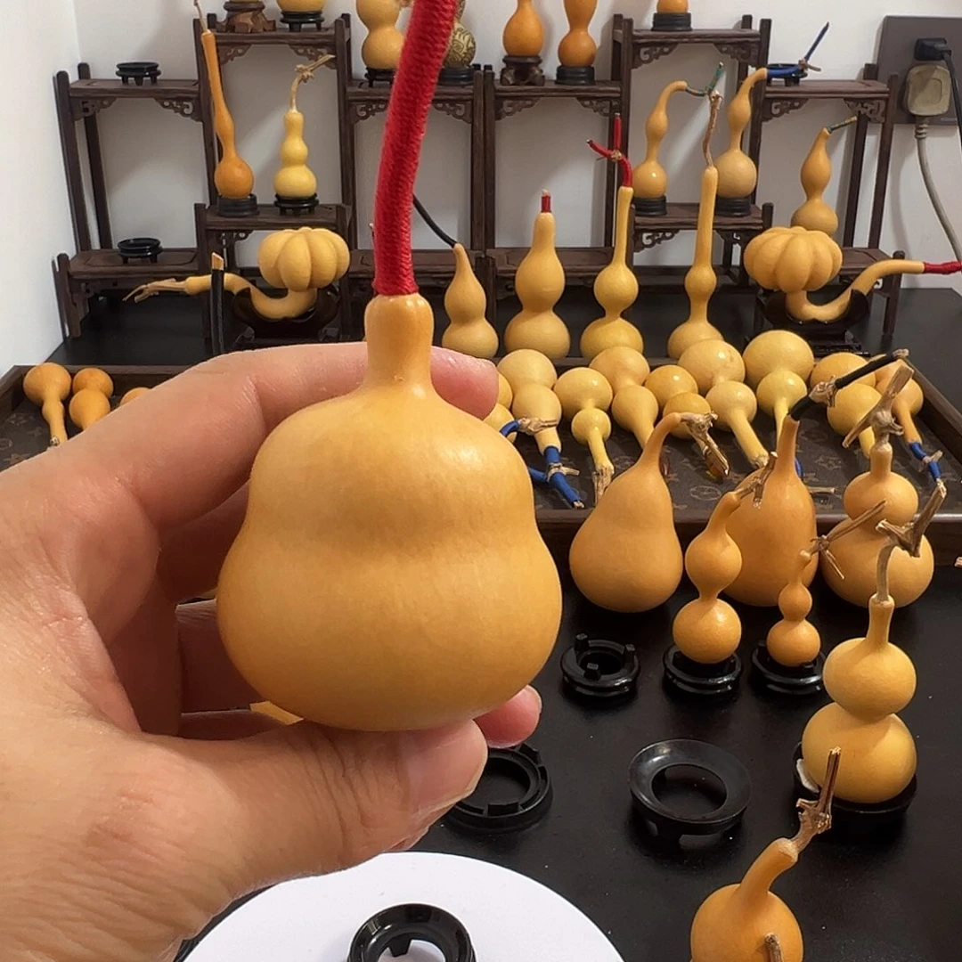 葫芦根是我国北方少数