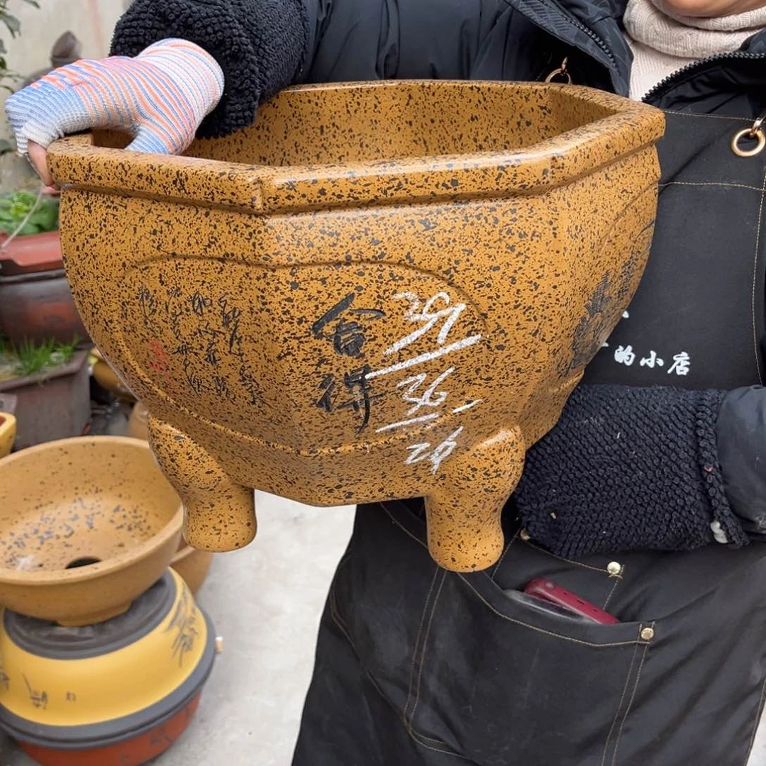 紫砂花盆盆景艺术