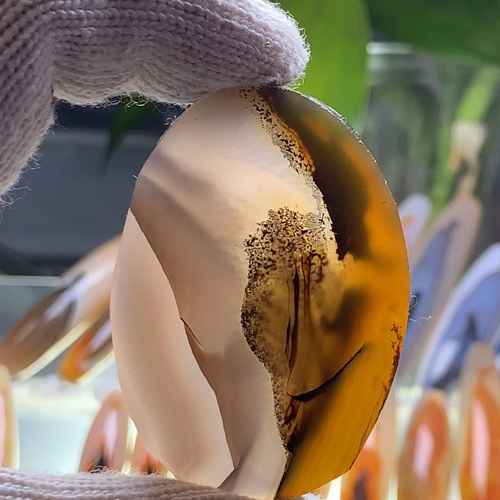 未镶嵌玛瑙/玉髓珠宝半成品54