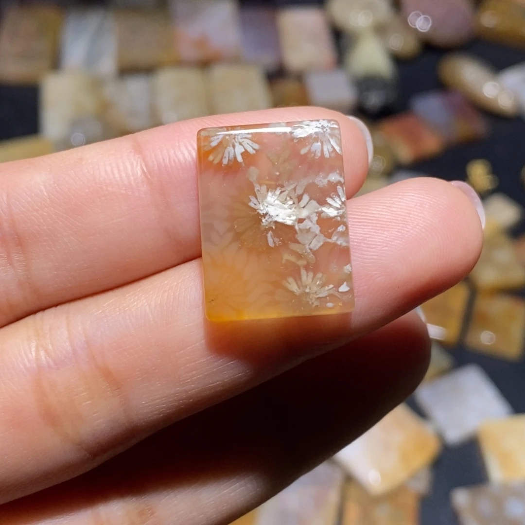 【闪购商品】硅化玉珊瑚玉未镶嵌