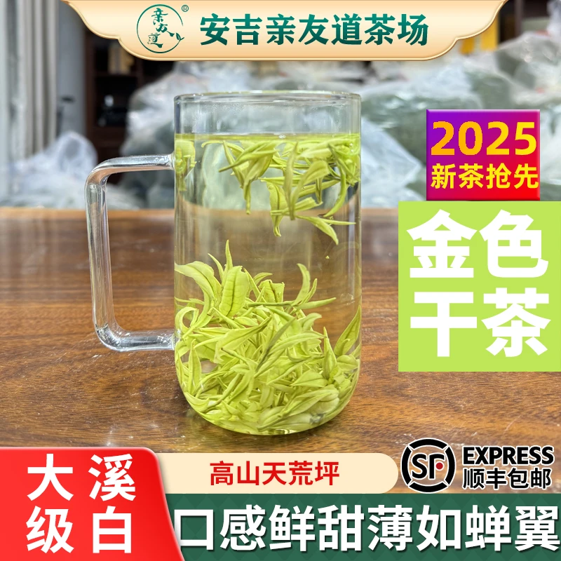 【大溪级白】高白化透亮正宗安吉高山本地绿茶白茶2025亲友道好茶叶